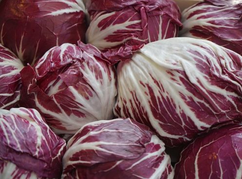 Radicchio